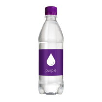 Bronwater 500 ml met draaidop