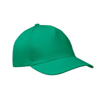 BUZZ Baseballcap met 5 panelen Groen