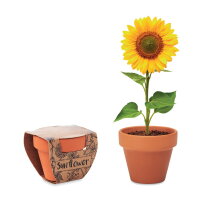 SUNFLOWER Potje Zonnebloem hout