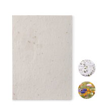 ASIDDE A5 zaadpapier wilde bloemen wit