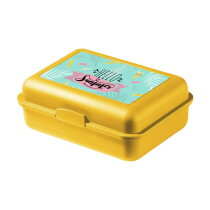 School Box Mini lunchbox
