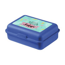 School Box Mini lunchbox